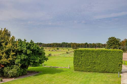 Weideland - 