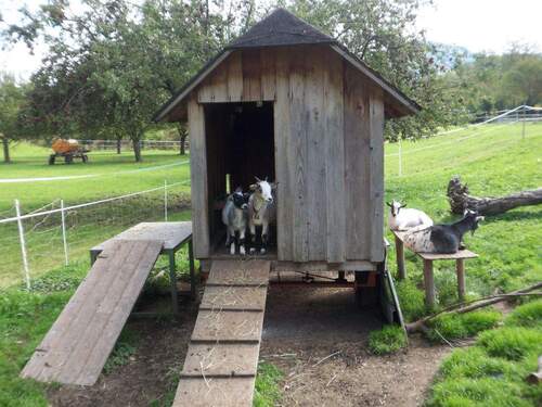 Wir wohnen bereits im Holzhaus - Großzügige Erdgeschoß-Wohnung KFW-Förderung zu 1,03% Zinsen möglich