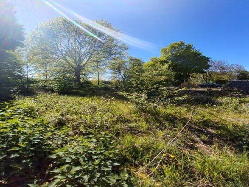 photo 2026-04-28 19-57-04 - Baugrundstück in Willich Neersen naturhahe Lage an der Niers mit Potenzial