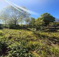 Baugrundstück in Willich Neersen naturhahe Lage an der Niers mit Potenzial