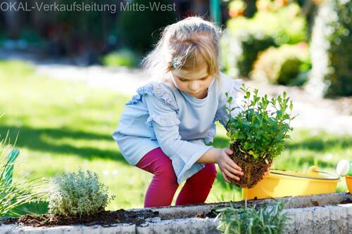 Garten genießen - 5 Zimmer Einfamilienhaus zum Kaufen in Niddatal