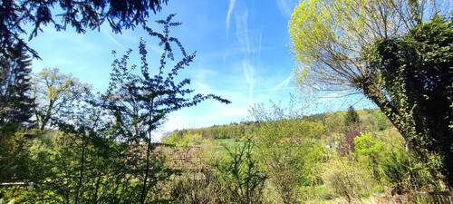1777461690316 - Eingewachsenes Grundstück mit toller Aussicht - 20km von Nürnberg