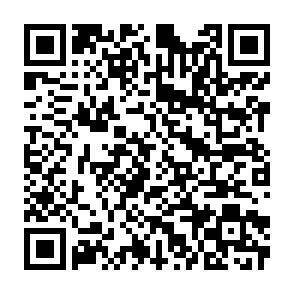 QR-Code - 