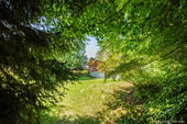 Wald - 