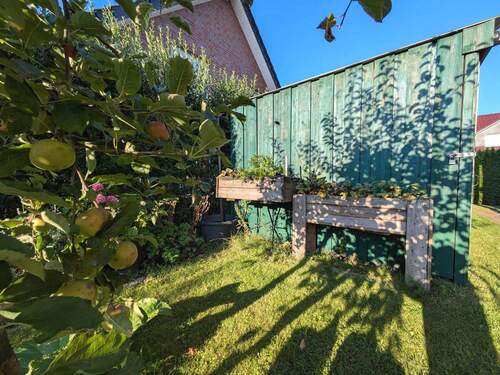 Wir ernten was wir säen - lecker Äpfel beispielsweise - 