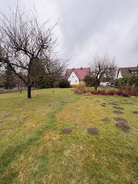 IMG_3128.jpeg - Baugrundstück ca. 1800 m² - EFHZFHDH möglich - Zufahrt gesichert