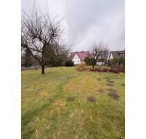 Baugrundstück ca. 1800 m² - EFHZFHDH möglich - Zufahrt gesichert - Hildesheim Bavenstedt