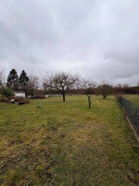 IMG_3121.jpeg - Grundstück in Hildesheim