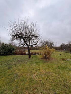 IMG_3125.jpeg - Grundstück in Hildesheim zum Kaufen