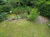Gartenteich - 