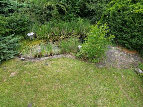Gartenteich - 