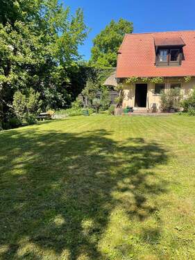 sonnige Rasenfläche - 