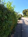 Zugangsweg - 