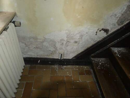 Feuchtigkeitsschaden Treppenaufgang zum 1.OG - Einfamilienhaus mit 215,00 m&sup2; in Wissen zum Kaufen