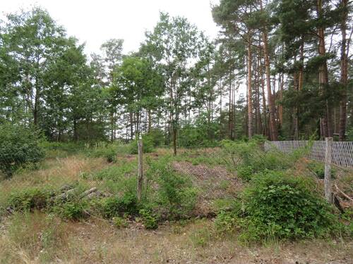 Grundstücksansicht - 