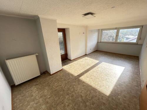 Zimmer DG - 