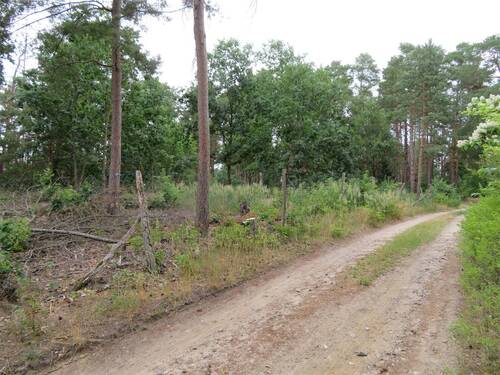 Weitere Ansicht Richtung Norde - 