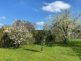 Grundstück, Obstbäume - 