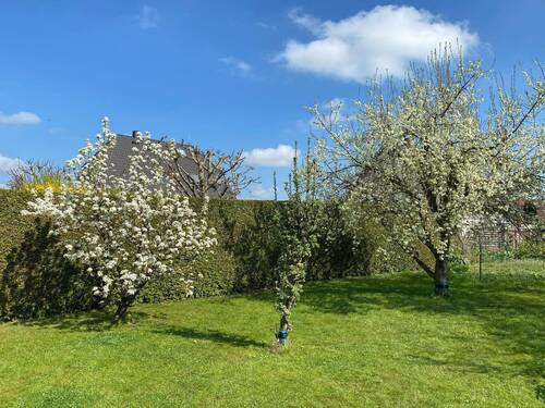 Grundstück, Obstbäume - 