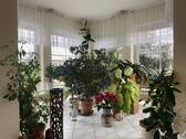 Wintergarten - EG - 