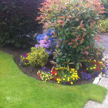 Blumenbeet - 