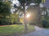 Park - 