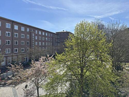 Blick aus dem Wohnzimmer - 