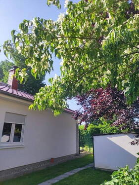 im Grünen - 3 Zimmer Bungalow in Berlin