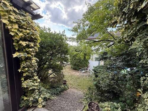 Blick auf den gemeinsamen Garten - 