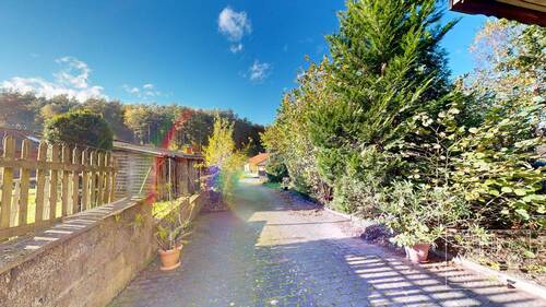 Zufahrt und Weg zum Haus - 