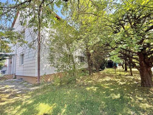 Gartenfläche mit altem Baumbestand - 