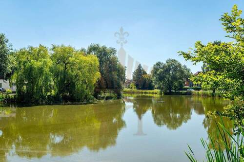 Umgebung & Ausblick - 