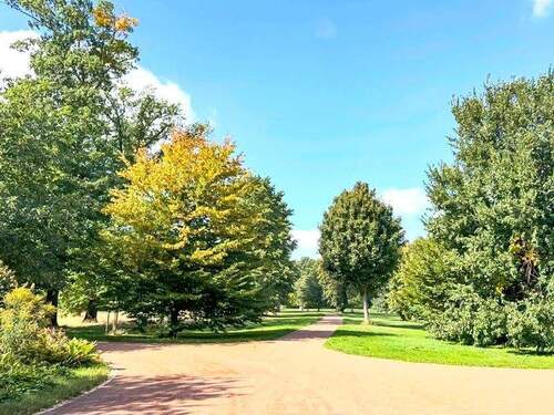 Zugang zum Stadtpark - 