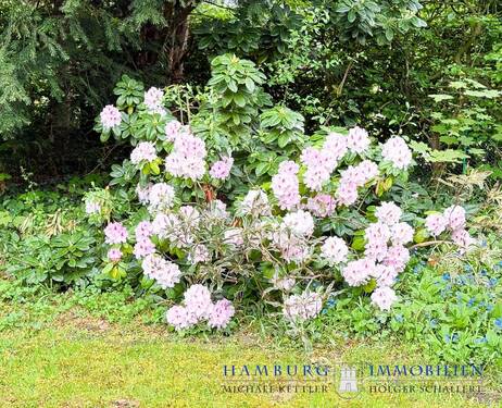 Garten - 