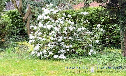 Garten - 