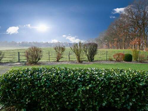 Blick aus dem Wintergarten - 