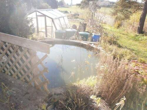 Teich mit Grünfläche - Mehrfamilienhaus, Wohnhaus mit 149,00 m&sup2; in Gefell zum Kaufen