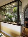 Terrarium - 