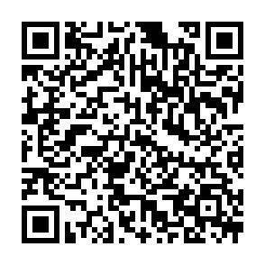 QR-Code - 