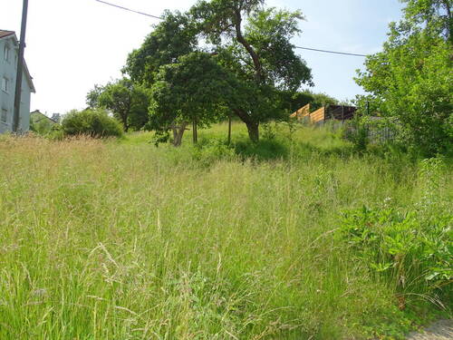 1 Cover - Baugrundstück zu verkaufen in Weilrod - Idyllisch gelegen im Taunus!