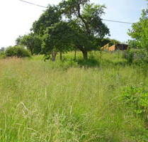 Baugrundstück zu verkaufen in Weilrod - Idyllisch gelegen im Taunus!