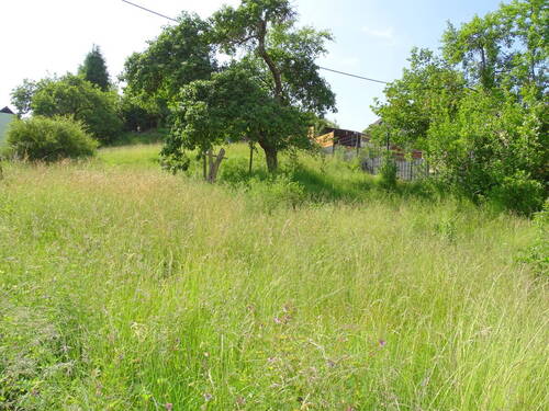 2 - Grundstück zum Kaufen in Weilrod