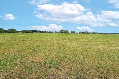 Frontansicht - Grundstück in Havelberg zum Kaufen