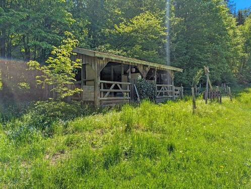Offenstall - Werz Immobilien - 