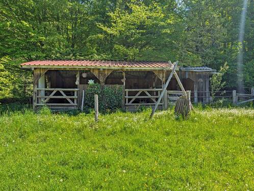 Offenstall - Werz Immobilien - 