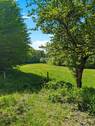 Weidefläche - Werz Immobilien - 