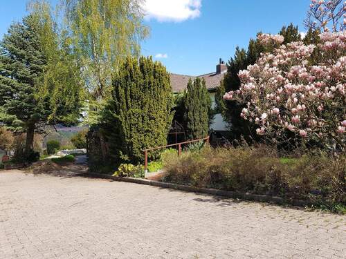 Ansicht von Westen - Bungalow mit 125,00 m&sup2; in Duingen zum Kaufen