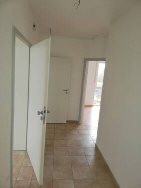 IMG_20240218_105606_resized_20240224_011515144.jpg - 