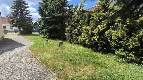 Grundstücksausfahrt - 