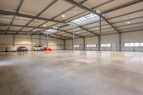 Halle (4) - 